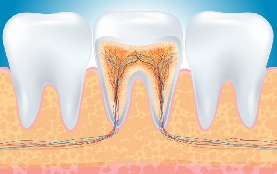 Điều trị nội nha một lần hẹn?